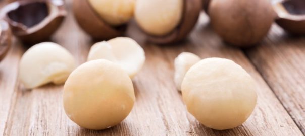 Macadamia là gì? – Những thông tin có thể bạn chưa biết