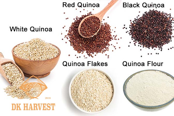 cac loai hat diem mach quinoa