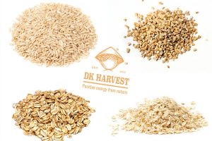 cach nhan biet yen mach tot