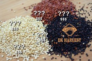 mua hat diem mach o dau