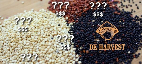 Hạt diêm mạch Quinoa mua ở đâu ? Địa chỉ bán diêm mạch uy tín nhất