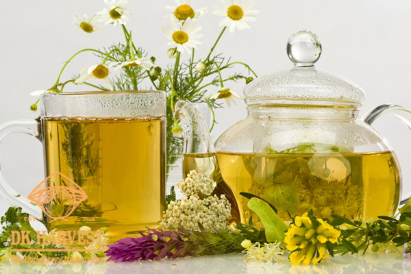 Một số cách pha trà hoa cúc thơm ngon bổ dưỡng