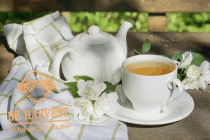 cach pha tra hoa nhai