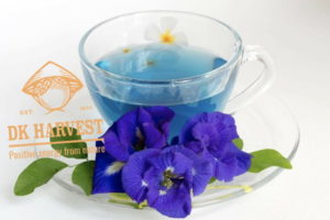 pha tra hoa dau biec