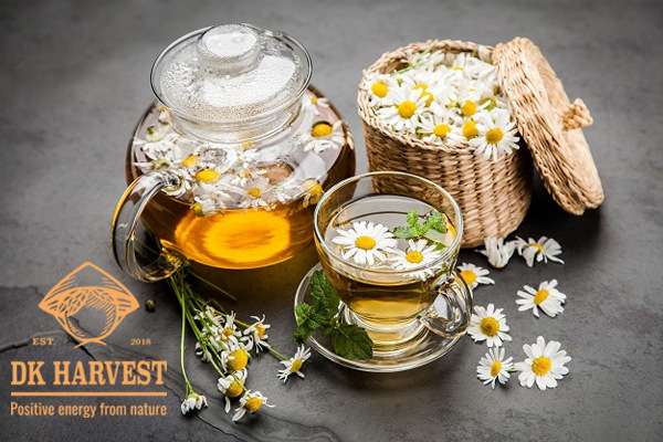 Tác dụng của trà hoa cúc đối với sức khỏe