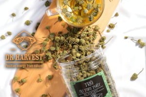 Shop hạt DK Harvest - Trà nụ hoa tam thất DK HarvestShop hạt DK Harvest - Trà nụ hoa tam thất DK Harvest