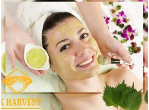 cong dung cua mat na tia to