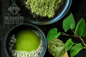 tac dung cua bot diep ca